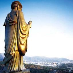 大佛爆料结婚视频完整版,甜蜜瞬间与爱情誓言  第1张